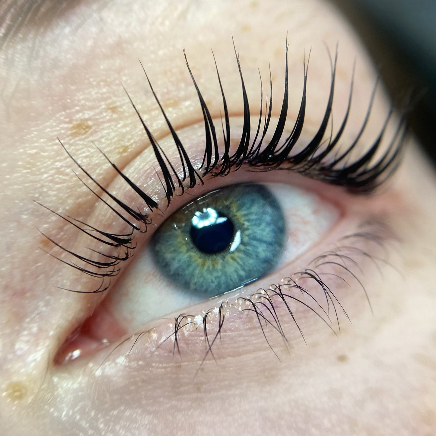 Elleevation Masterclass 2026 UK Dates | Korean lash lift & More | For all lash & brow artists