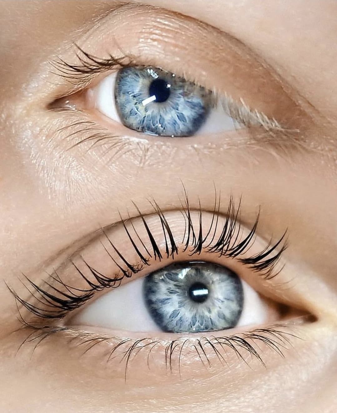 Elleevation Masterclass 2026 UK Dates | Korean lash lift & More | For all lash & brow artists