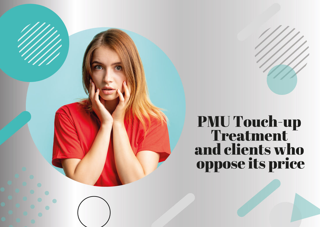 PMU Touch-Up Treatment & Clients Who Oppose it's Price