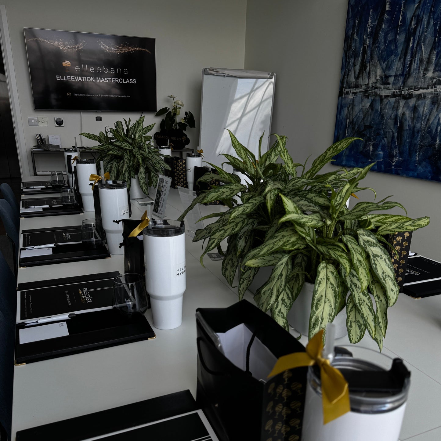 Elleebana Elleevation 2026 UK – Korean Lash Lift & Brow Masterclass for Professionals