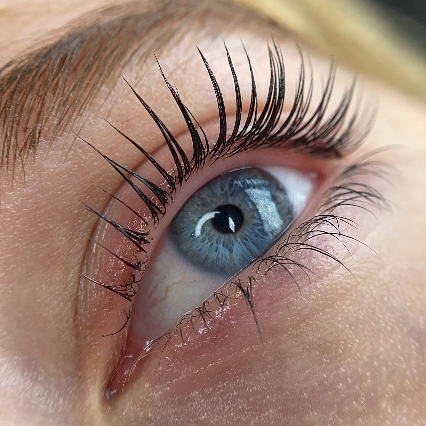 Elleebana in DUBLIN | ProFusion lash & brow lamination | Conversion Masterclass