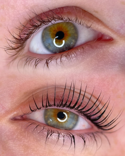 Elleevation Masterclass in London 28th of September 2025 | Korean lash lift & More | For all lash & brow artists
