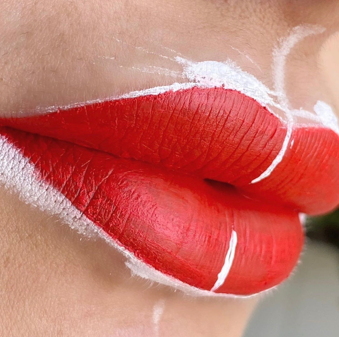  Permanent makeup lip result featuring precise lip mapping, full shading, and vibrant pigment application trained in the Everlasting Lip Module course.
