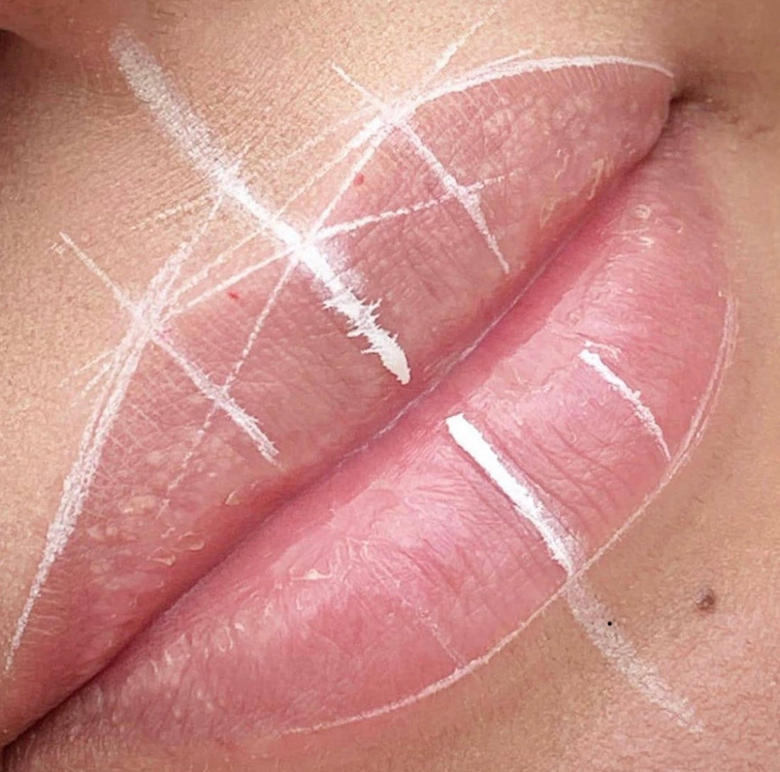 Permanent makeup lip result featuring precise lip mapping, full shading, and vibrant pigment application trained in the Everlasting Lip Module course.